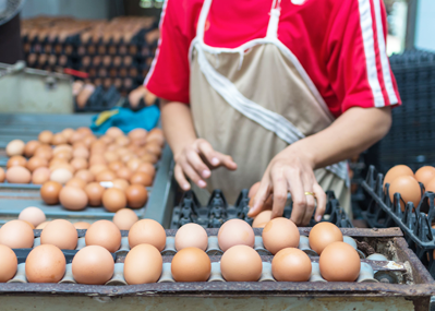¿Qué ventajas aporta la trazabilidad a las empresas?