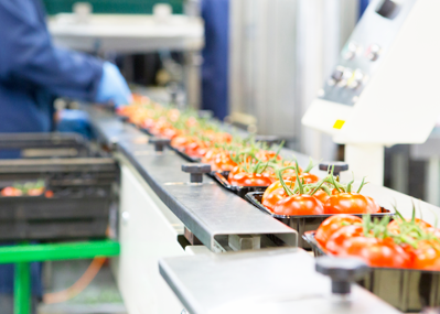 ¿Cuál es el mejor ERP que necesita el sector de la alimentación?