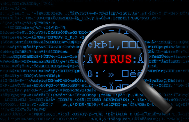Ciberseguridad: 5 pasos esenciales para blindar tu 